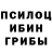 Галлюциногенные грибы MAGIC MUSHROOMS Rahat Taymanow