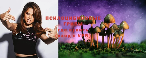 МДПВ Алексеевка